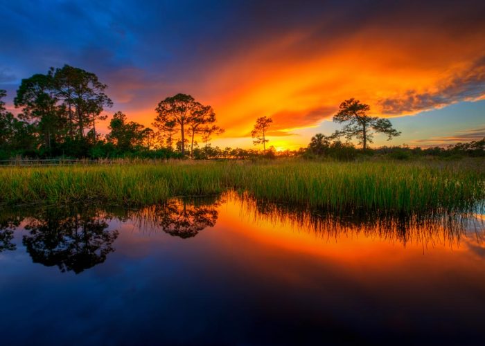 x061x-Acreage-Pines-Natural-Area-Sunset-Loxahatchee-Florida (1)